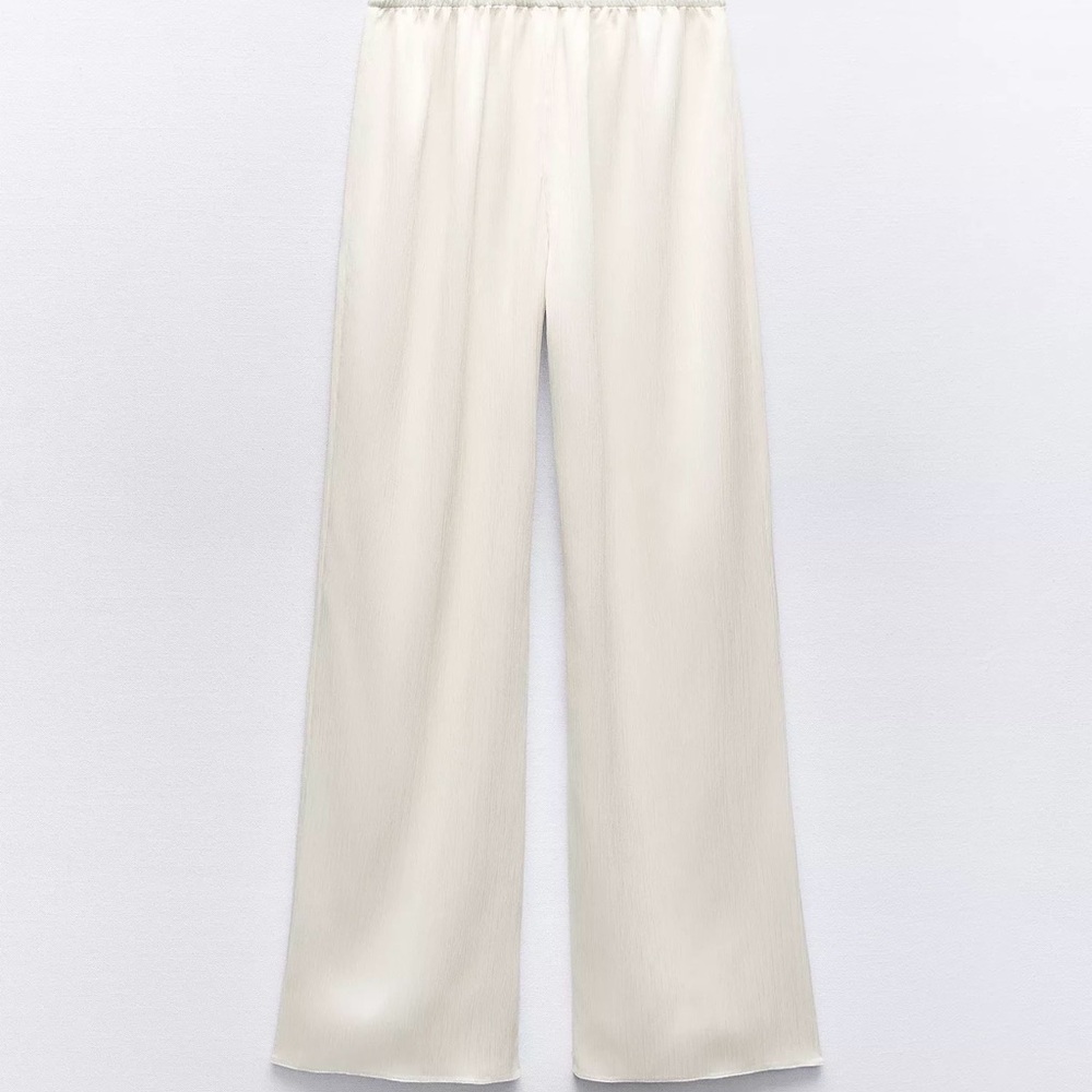 Zara Pleated/Crinkled Pants
